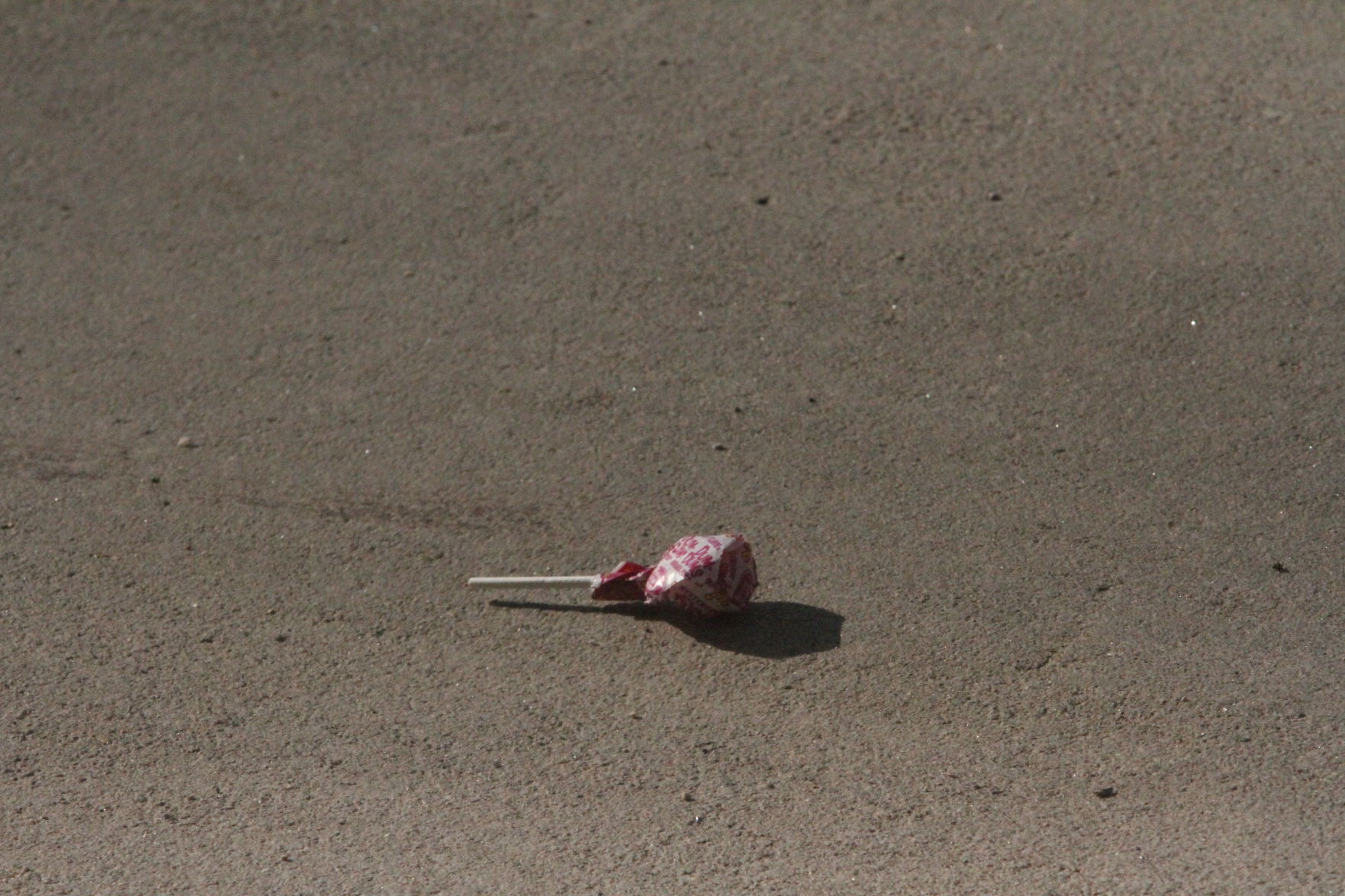 2019_Parade_810.JPG